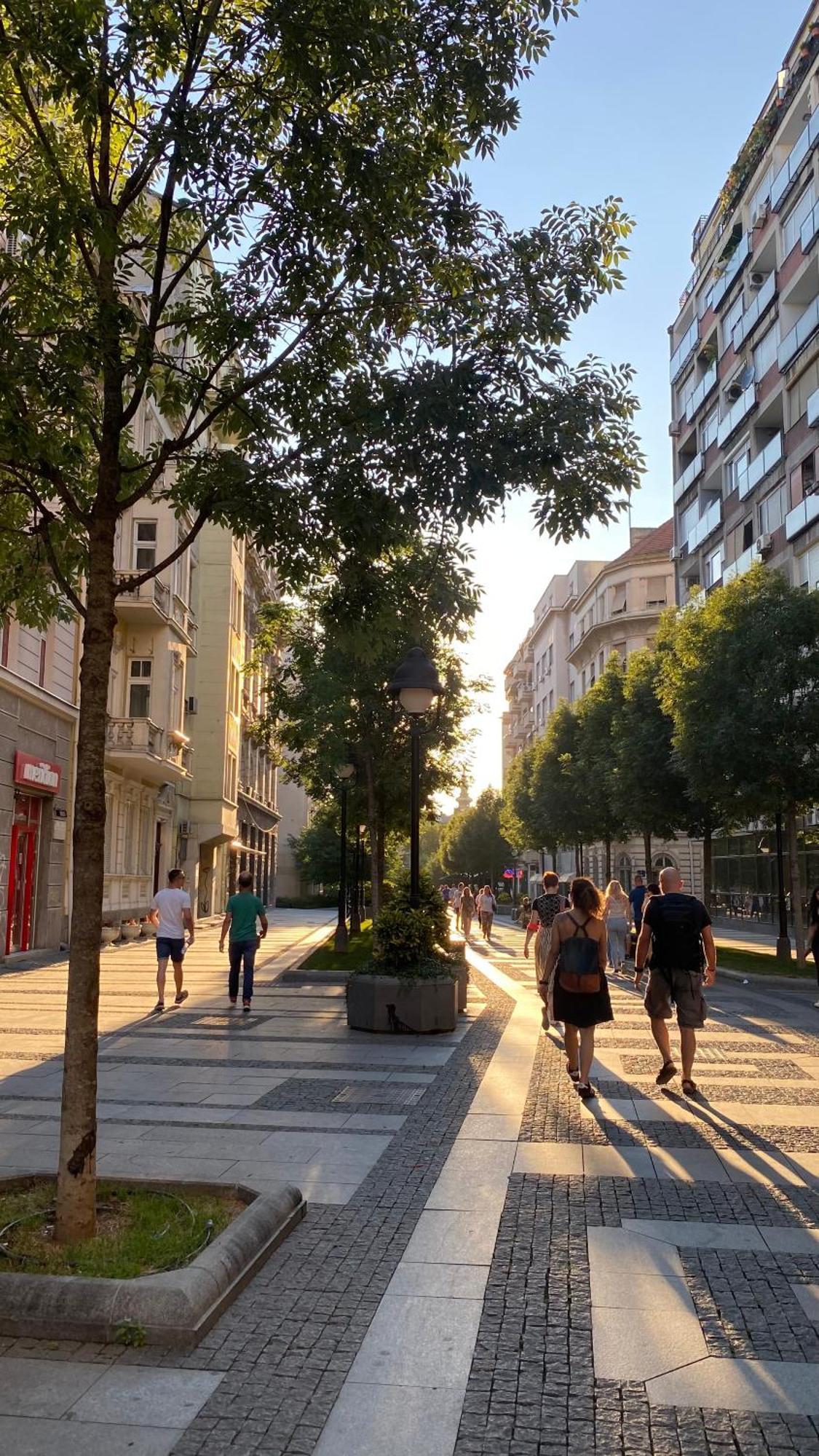 Dom Boutique Apartments - Old Town Belgrado Esterno foto