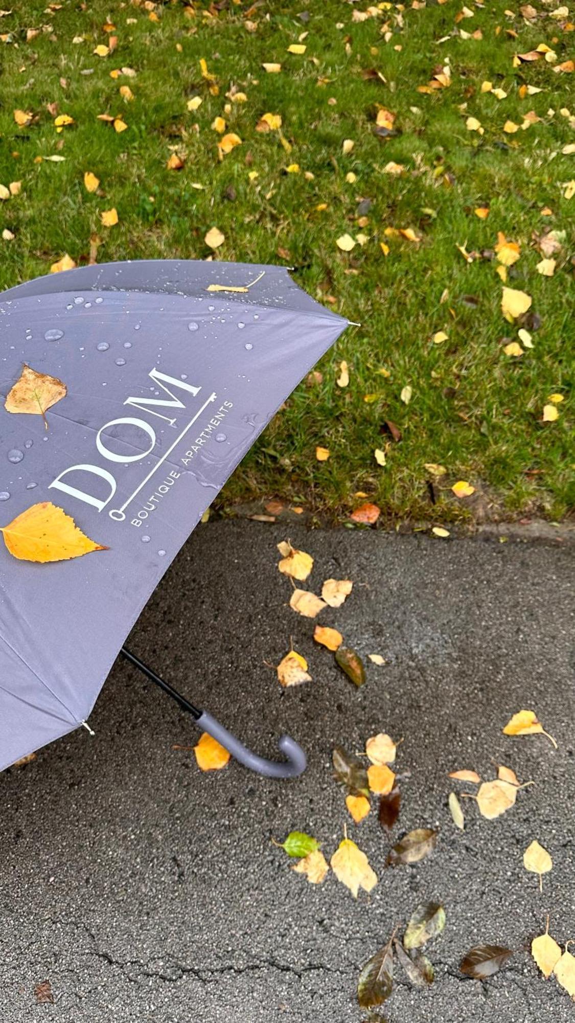 Dom Boutique Apartments - Old Town Belgrado Esterno foto