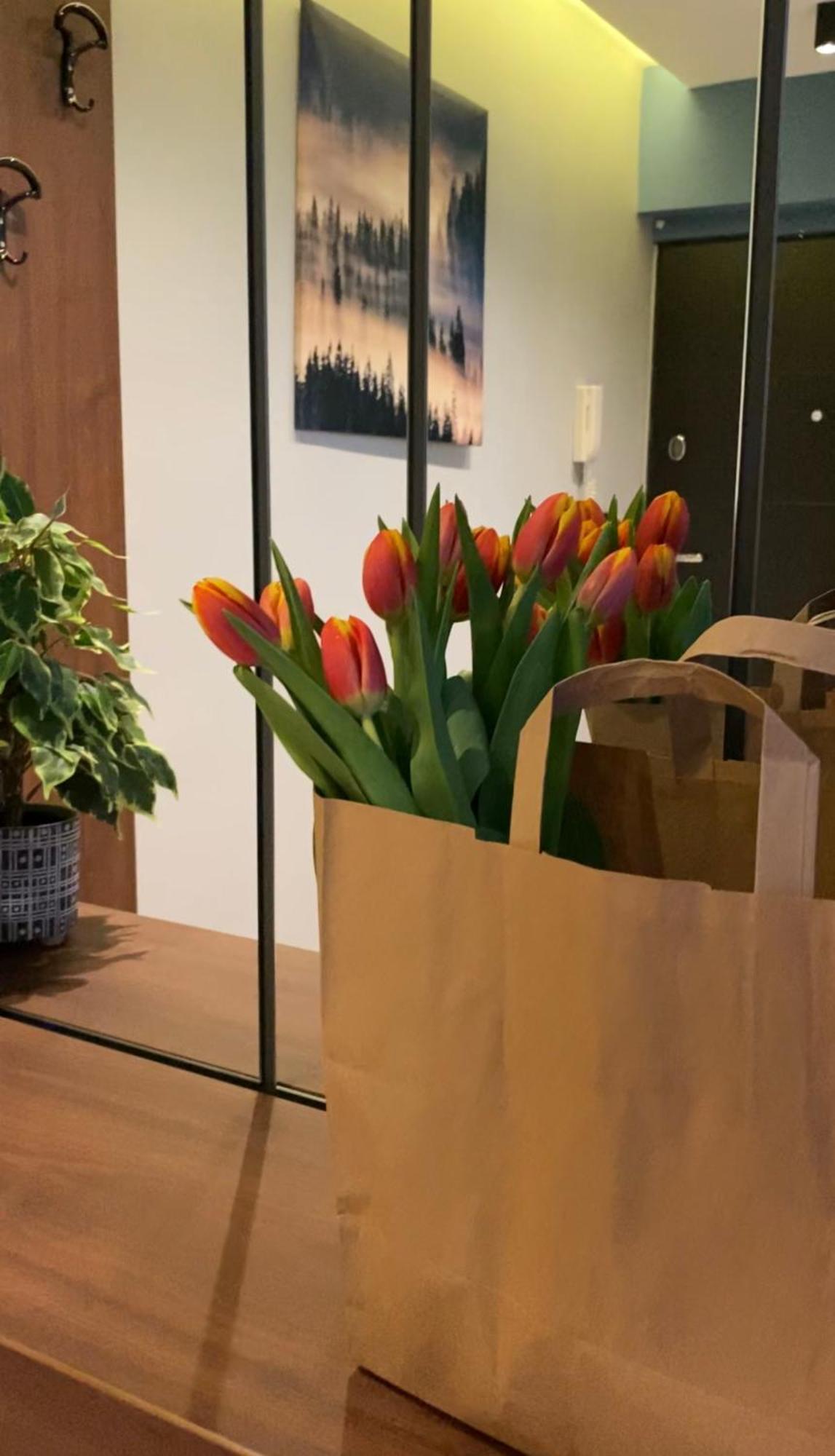 Dom Boutique Apartments - Old Town Belgrado Esterno foto